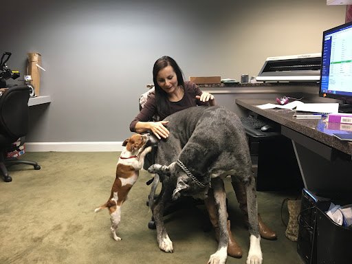 Accountant Salem – NJB Accounting Solutions LLC