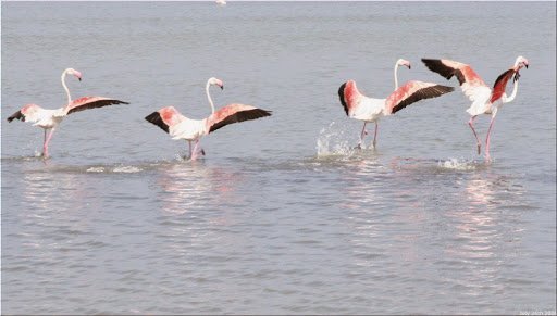 Accountant Hampstead – Accounting Solutions Inc.