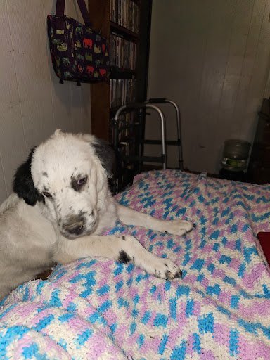 Tax preparation service Brush – MICHELLE’S TAX SERVICES LLC