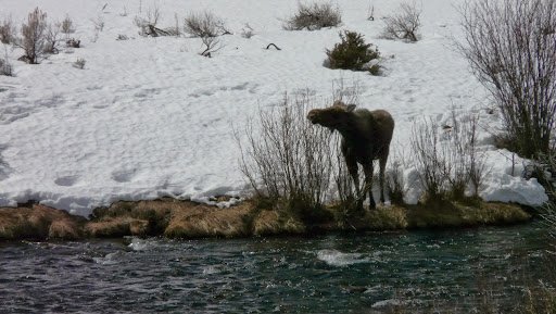 Tax preparation service Sheridan – ROCKIN S BUSINESS SERVICES