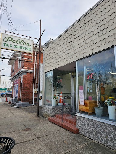 Tax preparation service Silver Grove – Pelle’s Tax Services