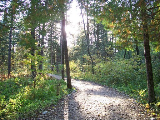 Accountant St Louis Park – Burdette Consulting LLC – Accountants and Tax Advisors