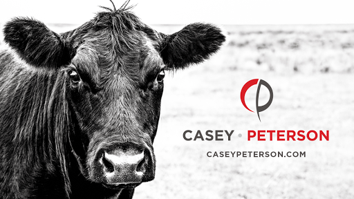 Chartered accountant Faith – Casey Peterson LTD