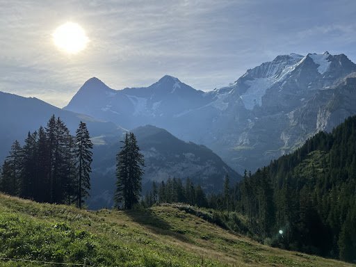 Bookkeeping Service Chapel Hill – Blue Hill Bookkeeping