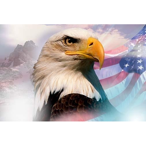 Bookkeeping Service Florence – Eagle Bookkeeping & Tax Services