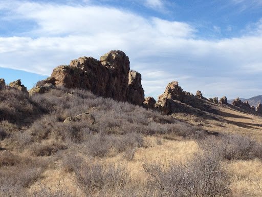 Bookkeeping Service Fort Collins – Taylor’s Financial Planning