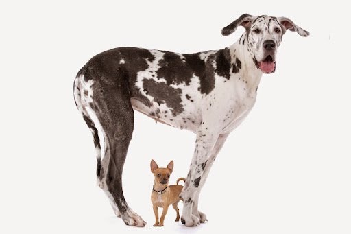 Bookkeeping Service Fort Lauderdale – Your Business Consultant