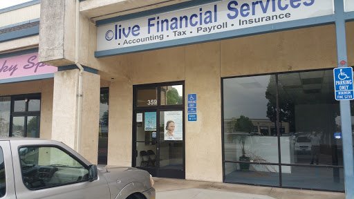Bookkeeping Service Fremont – Olive Financial Services – Insurance  Tax  Payroll & Bookkeeping