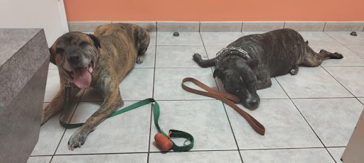 Bookkeeping Service Holiday – Rock Stone Services  LLC