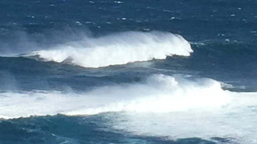 Bookkeeping Service Lahaina – The Integer Company-David W Ristau CPA