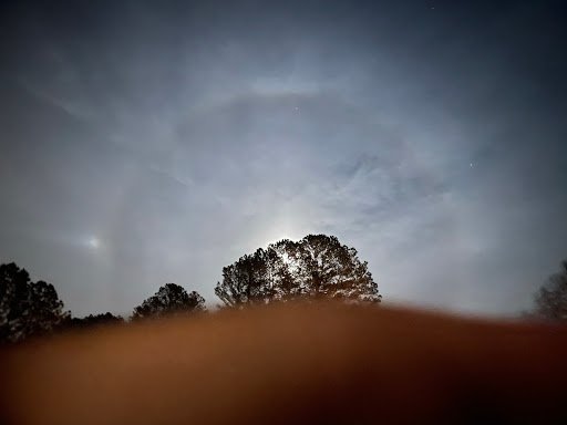 Bookkeeping Service Mabelvale – Tax Pro