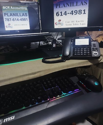 Bookkeeping Service Lajas – BCR Accounting