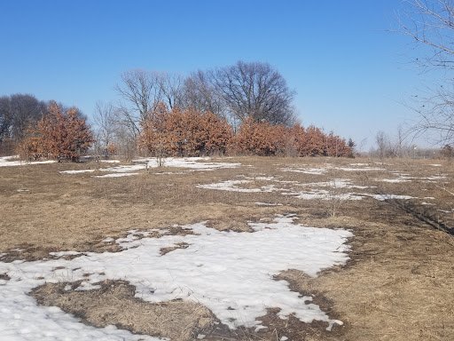 Bookkeeping Service Minneapolis – GPS Business Solutions