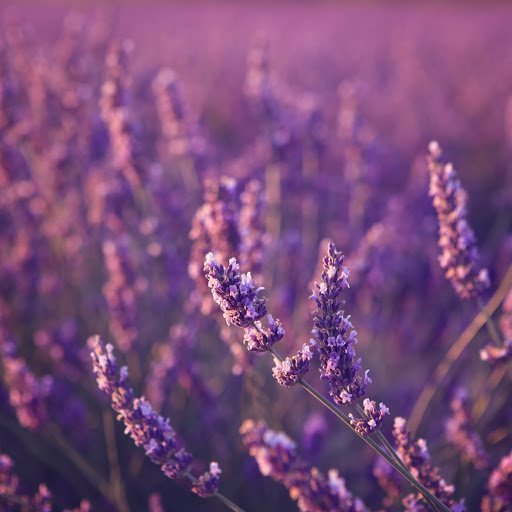 Bookkeeping Service Oakland – One River CPAs