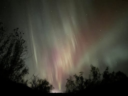 Bookkeeping Service Palmer – Northern Ledger