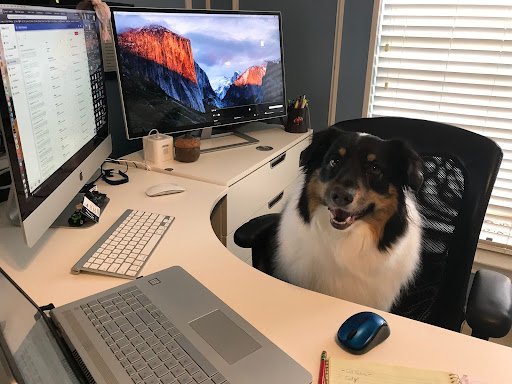 Bookkeeping Service Plano – TBFoster NonProfit Accounting