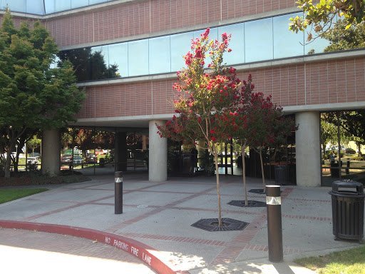 Bookkeeping Service Sacramento – Innovative Solutions CPAs & Advisors  LLP